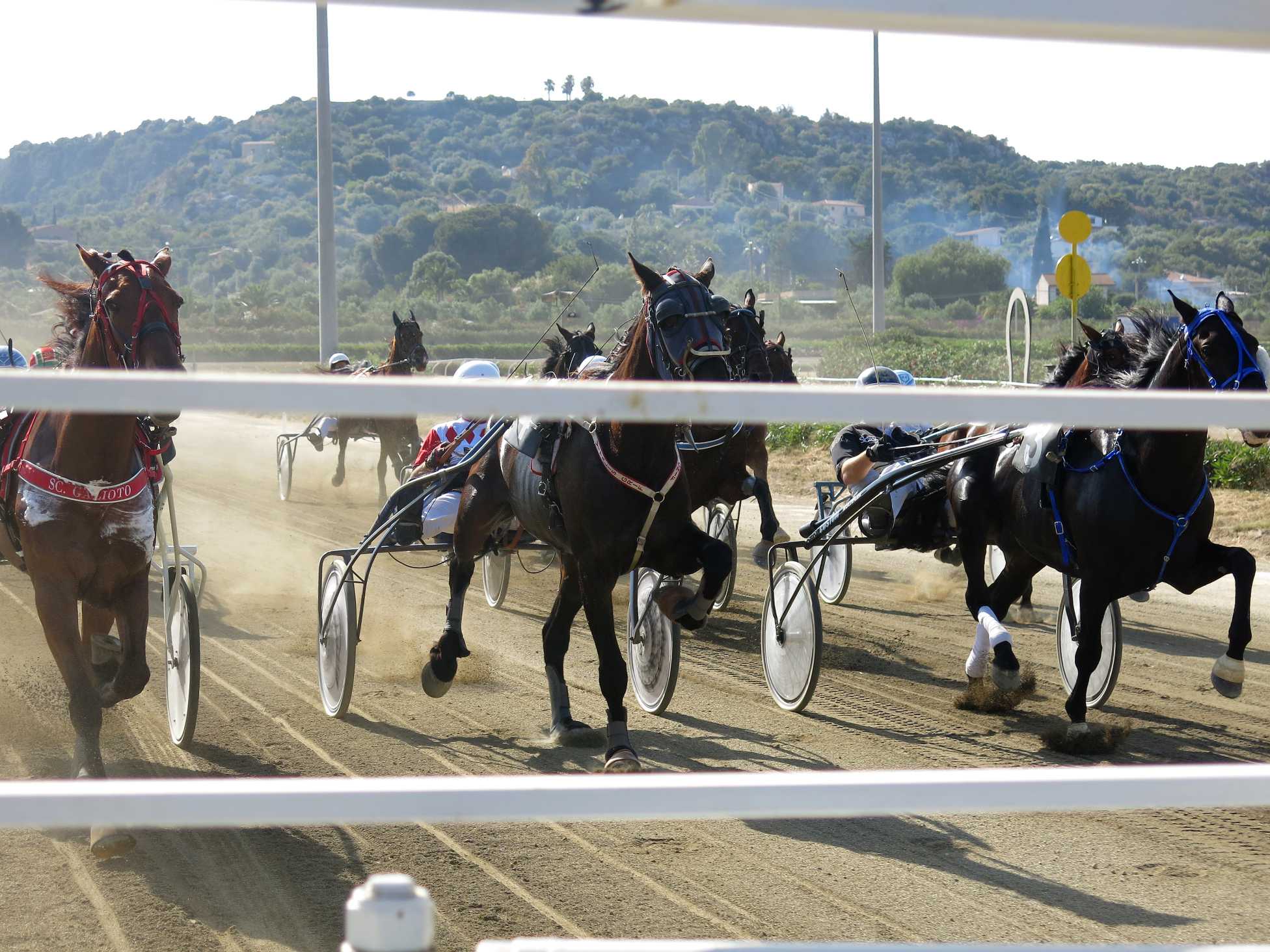 Risultati immagini per IPPODROMO DI SIRACUSA